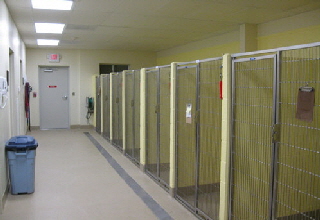 New shelter kennel