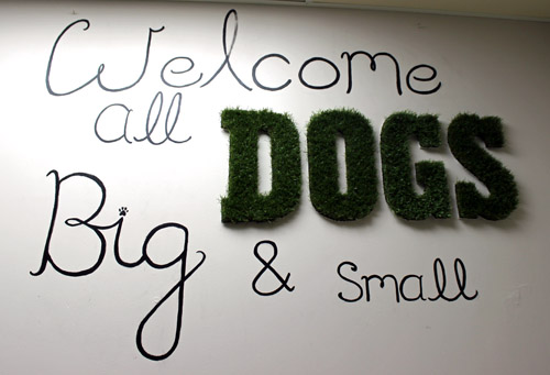 Dogs wall sign